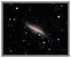 M82 Cigar Galaxy