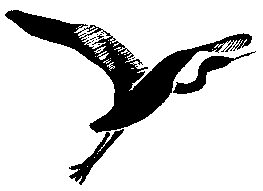 heron takeoff eraser carving