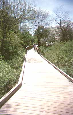 Riverwalk boardwalk