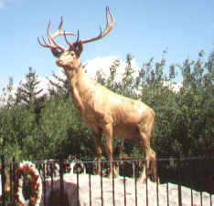 Elks club WWI monument