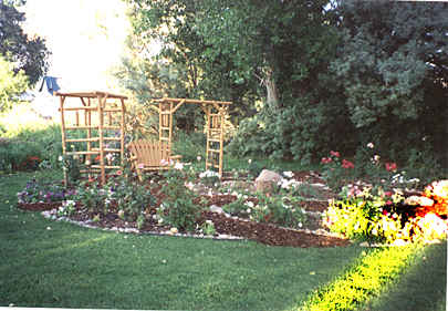 Bench and trellis in Sarah's garden