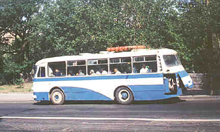 bus