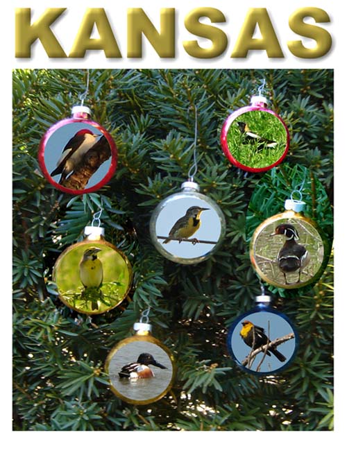 ornaments on a evergreen tree background, each superimposed with a bird we saw in Kansas