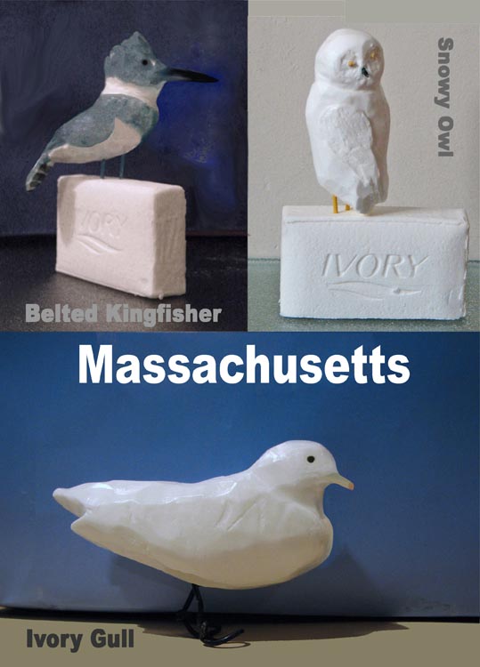 digital photos of a belted kingfisher, an ivory gull, and a snowy owl, all 
sculpted from Ivory soap. Text: 'Massachusetts'