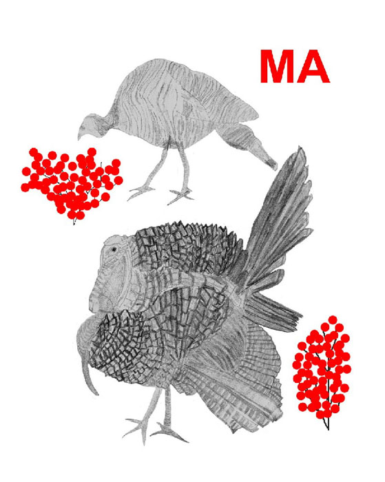 Drawings in gray tones of a turkey pair. Text 'MA'and winterberries are red.