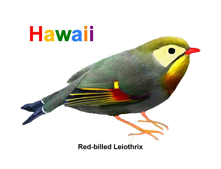 the word Hawaii apears at the top, each letter a different color. The words Red-billed Leiothrix appear beneath a drawing of that colorful species.