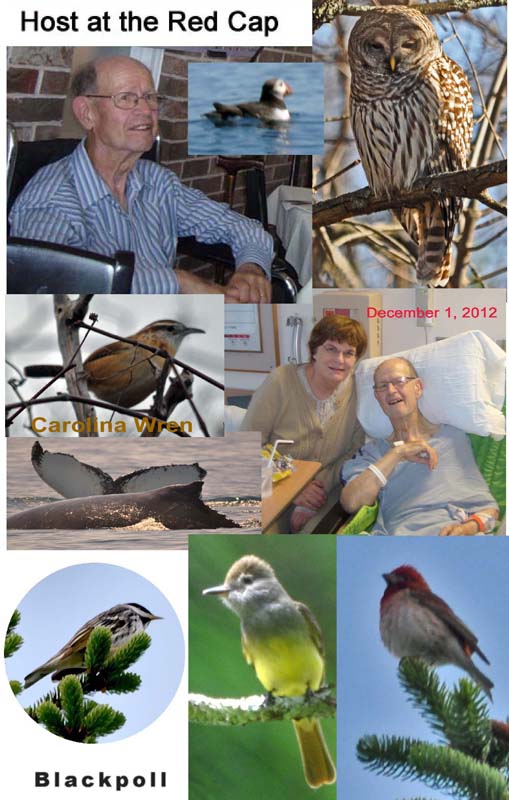Photos from 2012. Herman hosting at the Red Hat, Eva with Herman at Beth Israel Hospital, 
A Carolina Wren and a Blackpoll, both labelled. A Great-crested flycatcher, purple finch, 
barred owl, puffin, and whales.