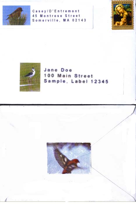 The front of the envelope with return address sticker decorated with a red crossbill, and the address label decorated with a black-necked stilt photo
