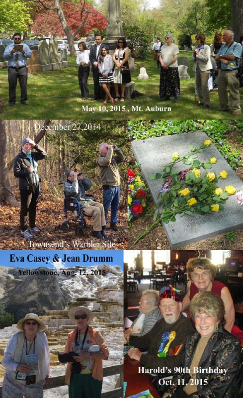 Photos from 2015: Herman's burial at Mt. Auburn May 10, 2015. Ricardo's family, MaryDan, and Bob Stymeist 
and Martha Steele, tenor Sal Atti, and, in the background, the bagpiper; Herman's tombstone covered in yellow roses, 
Herman at the Townsend's Warbler site Dec. 27, 2014, Eva Casey and Jean Drumm at Yellowstone August 2015, and Eva, 
Harold and Irene at Harold's 90th birthday Oct. 11, 2015.
