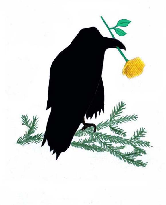 A solid black raven on an evergreen bough woth a long-stemmed yellow rose in it's beak 