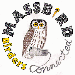 Boreal Owl drawing. 
The owl is clutching a gray computer mouse the cord of which segues 
into the word 'connected' in cursive