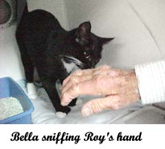 bella and roy's hand
