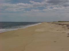 beach - looking south