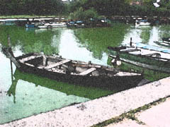 boats at lake velence