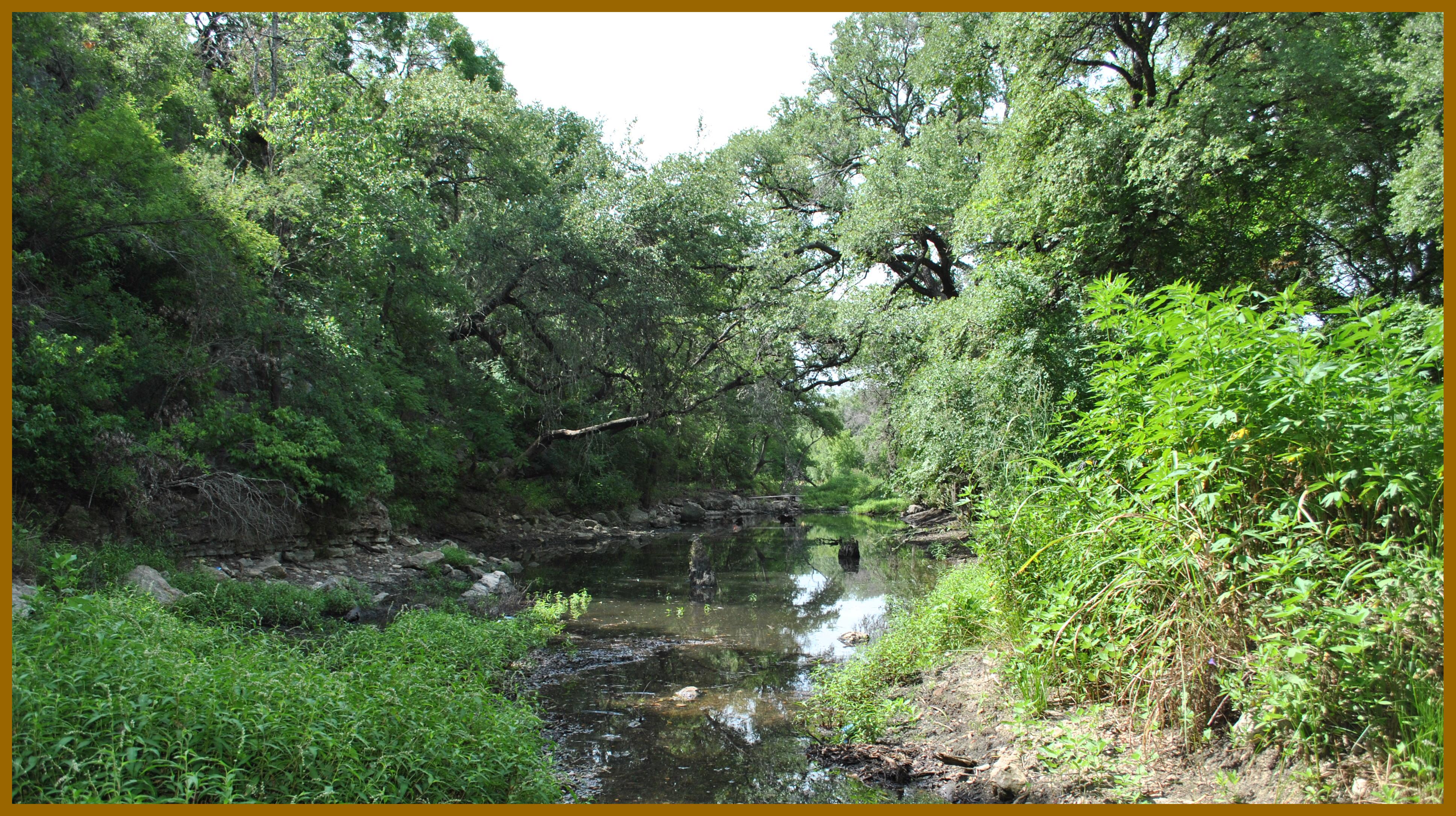 riparian 1