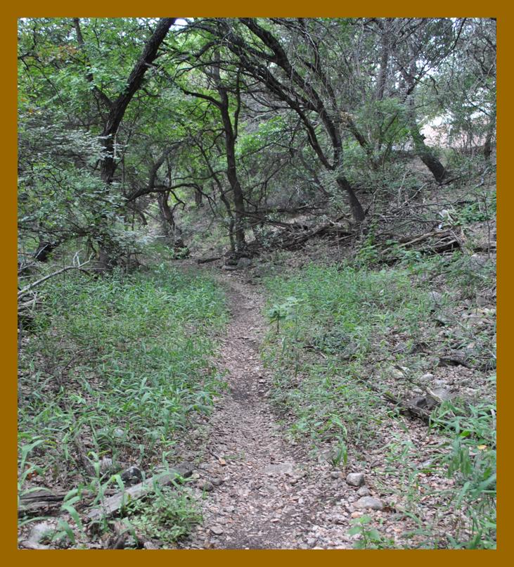 riparian 4