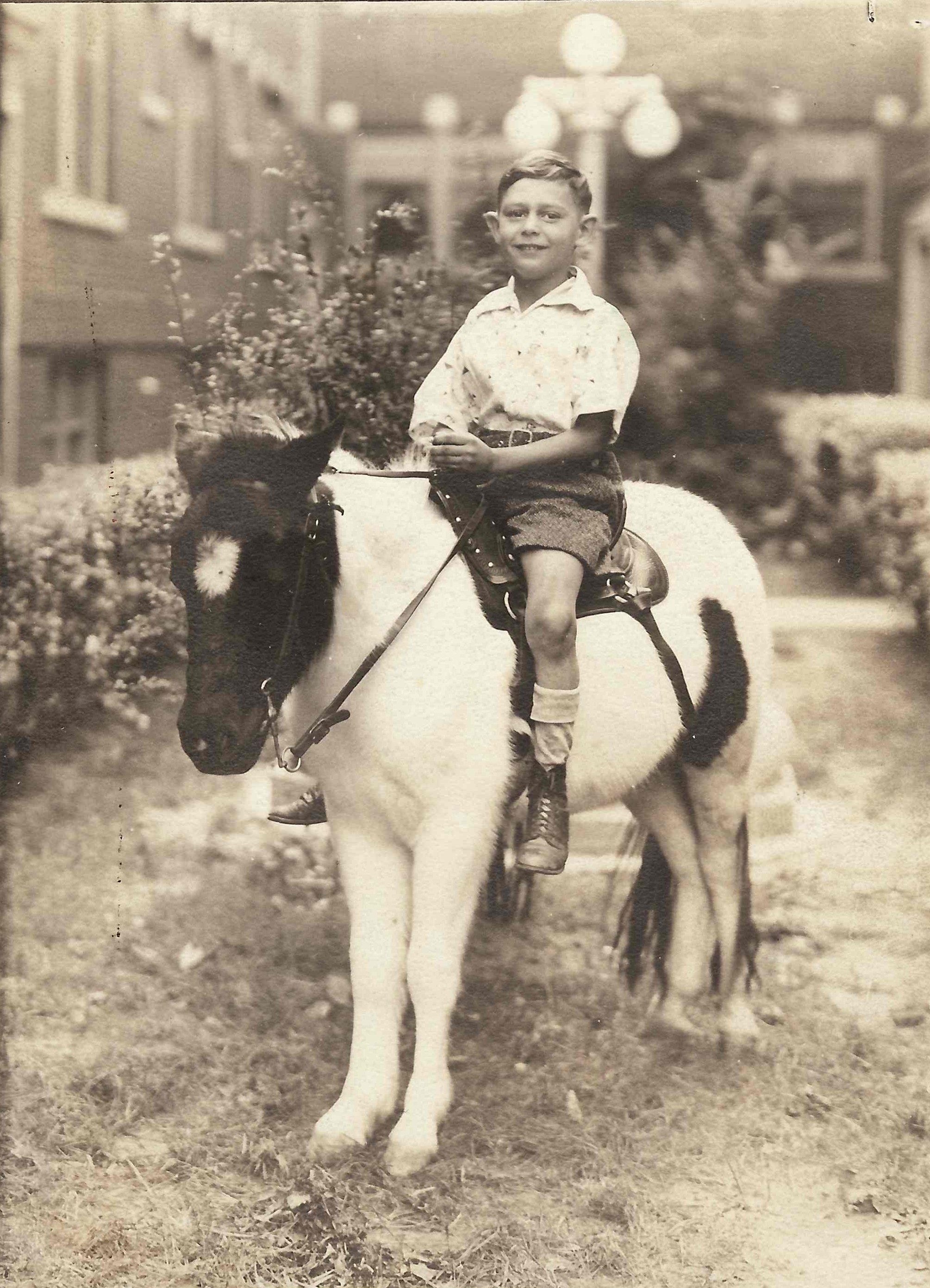 Ray on pony